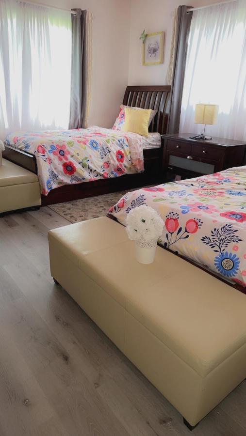 הוילה Miami Parkview Getaway מראה חיצוני תמונה